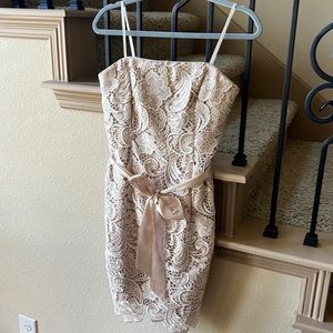 Gorgeous cream lace Adrianna Papell dress
